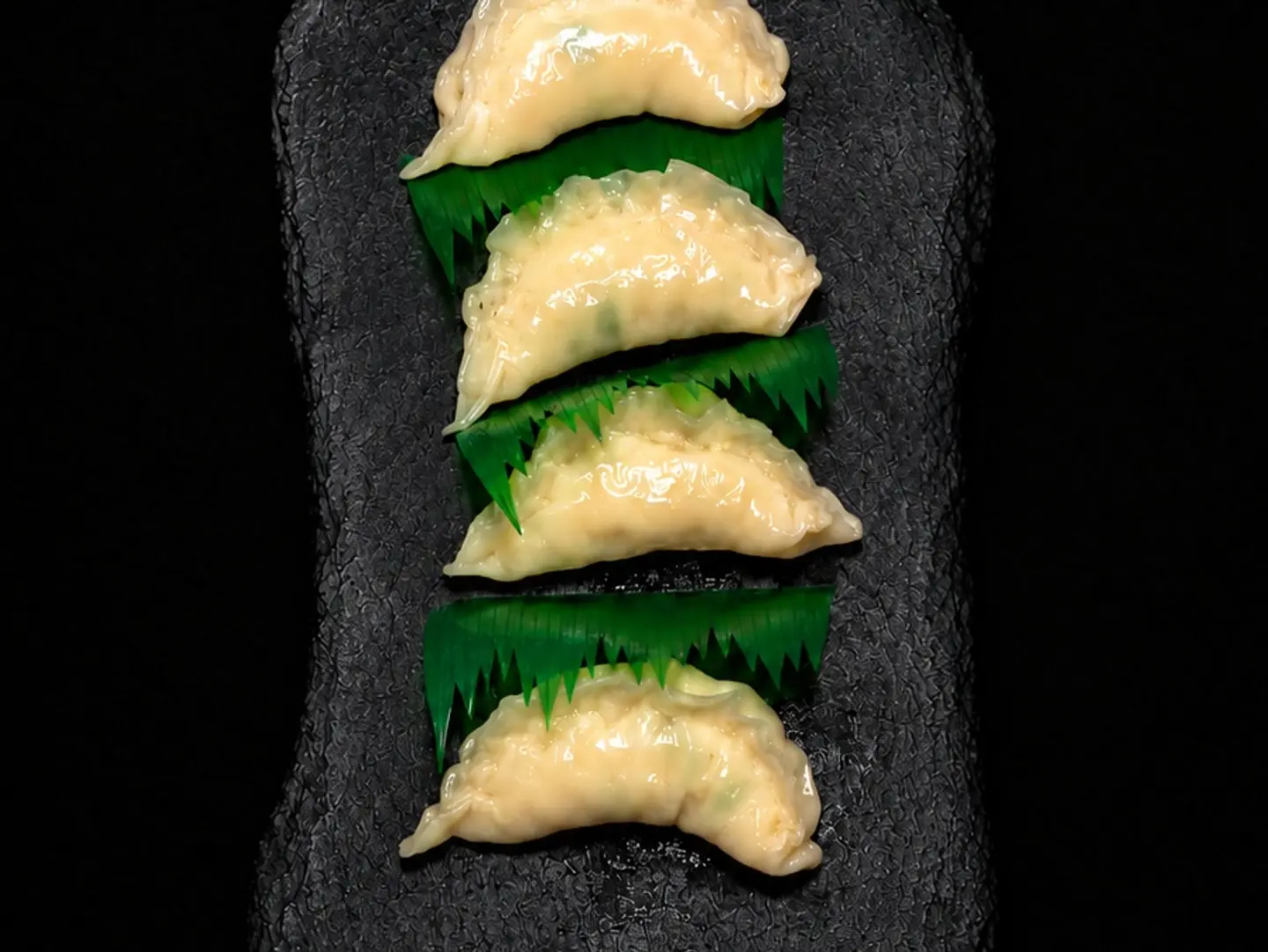 Steamed Gyoza Dumplings - Chicken