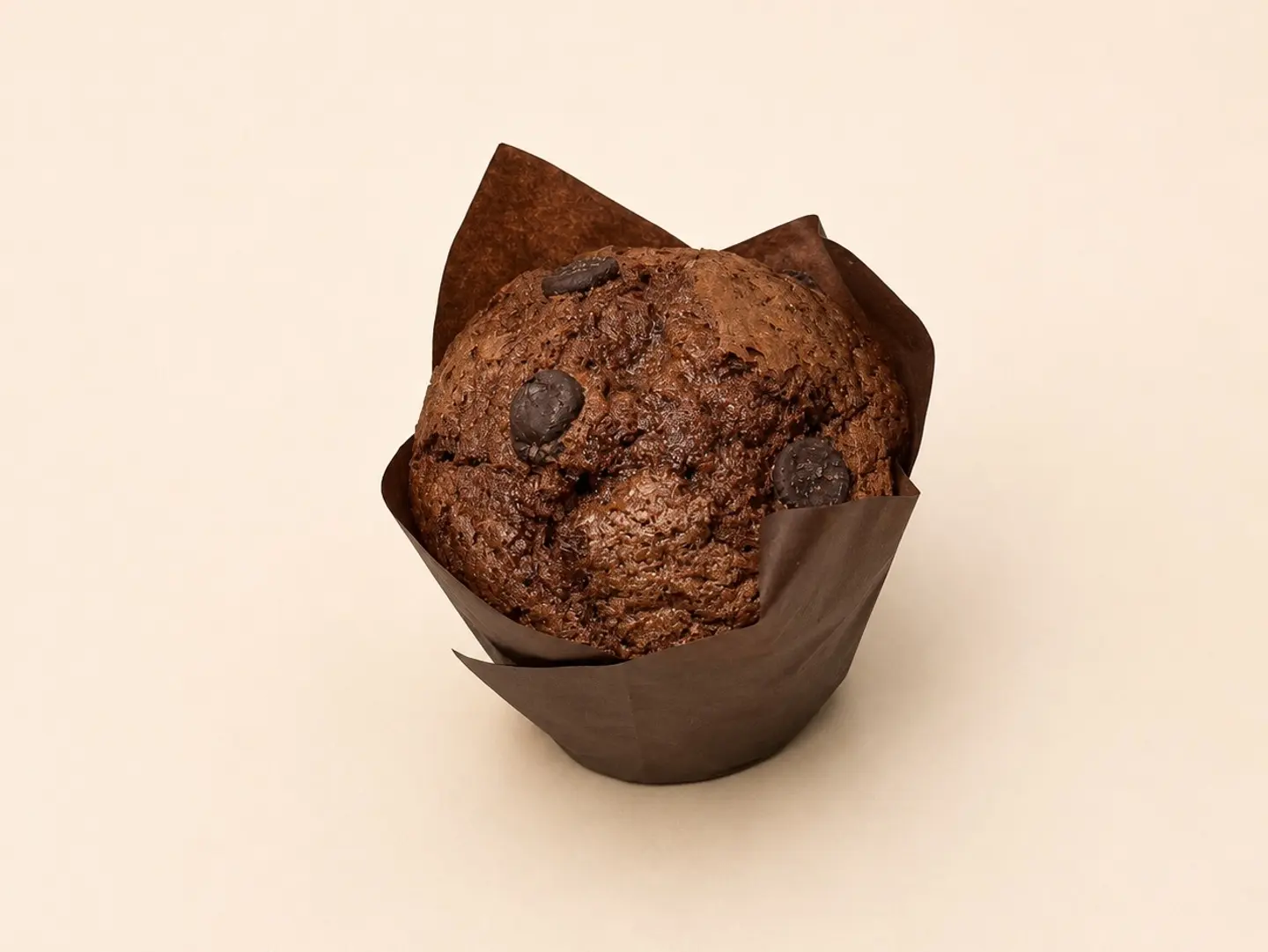 Chocolate Muffin