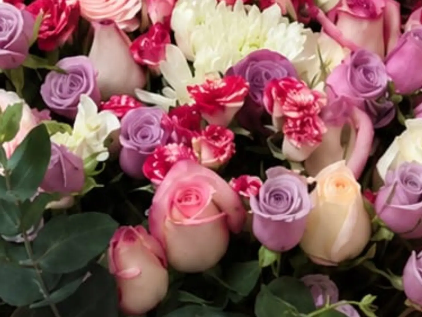 Choose The Customer, Choose The Colors That Are More Coordinated By Your Taste