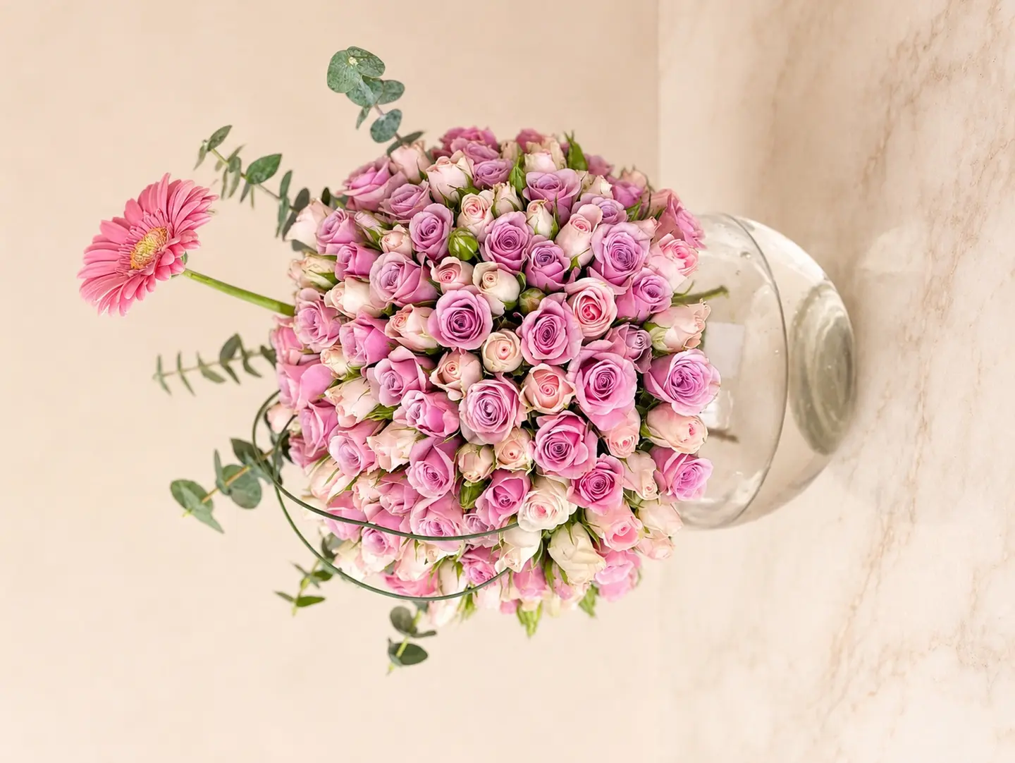 الفازة الرهيبه