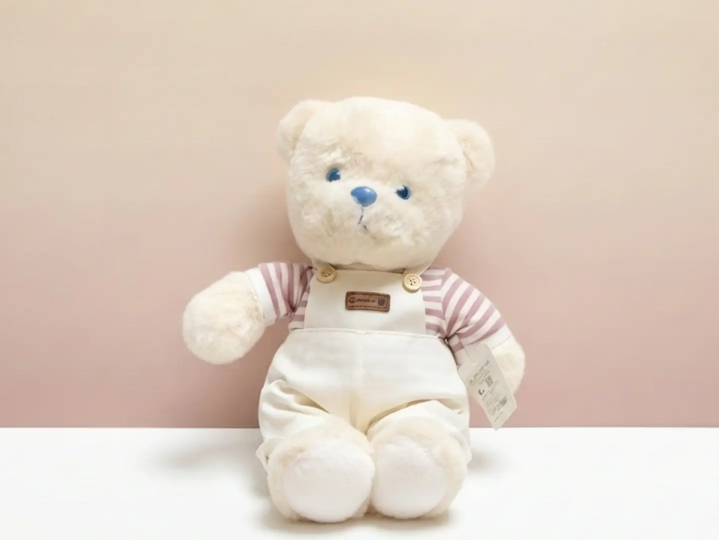 Plush Teddy Bear