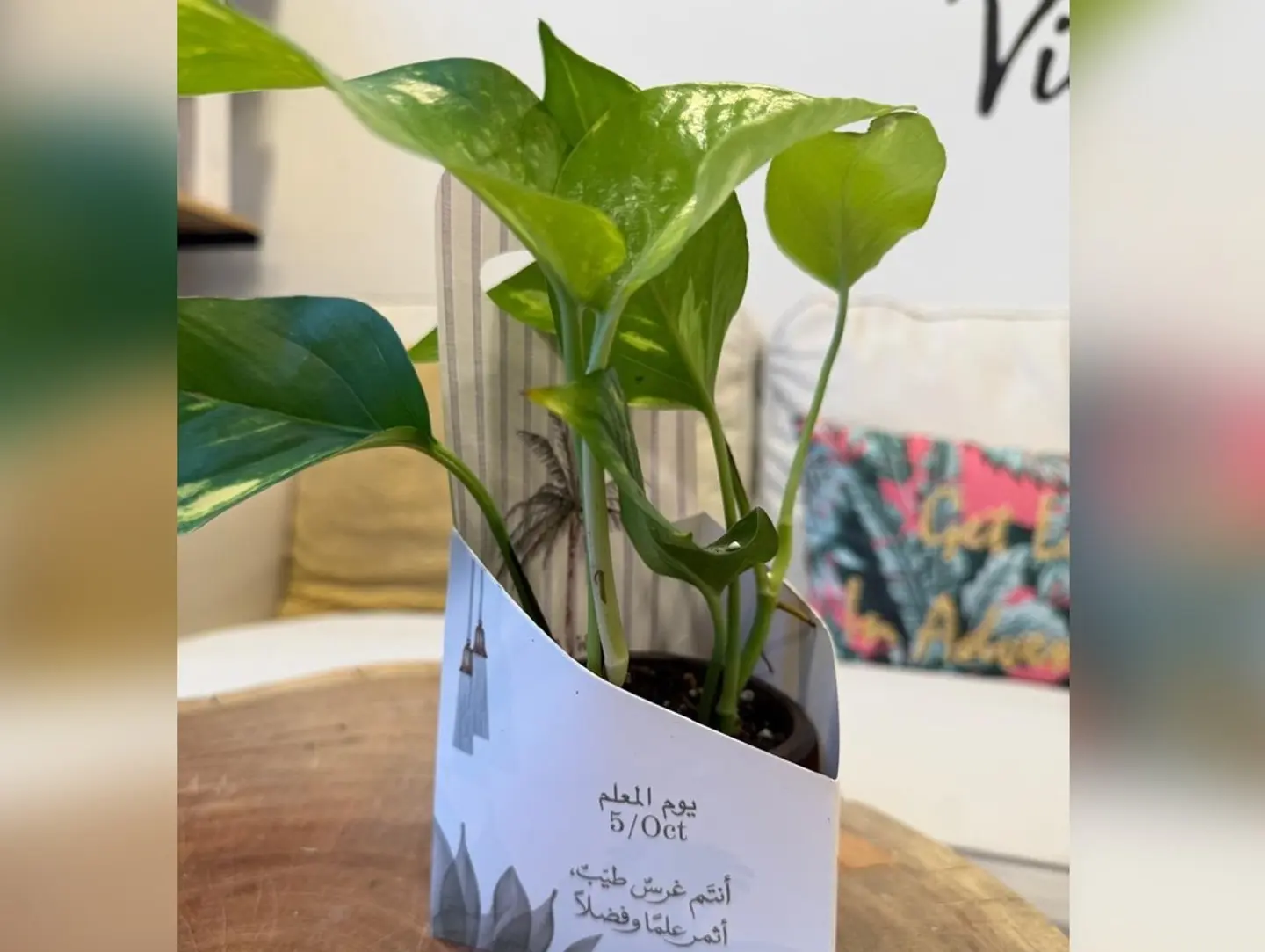 Teacher's Day Flower