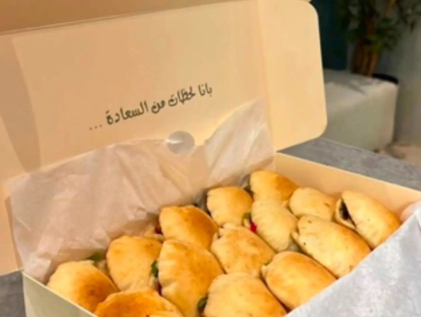 Box Falafel Mini 15 Sandewich