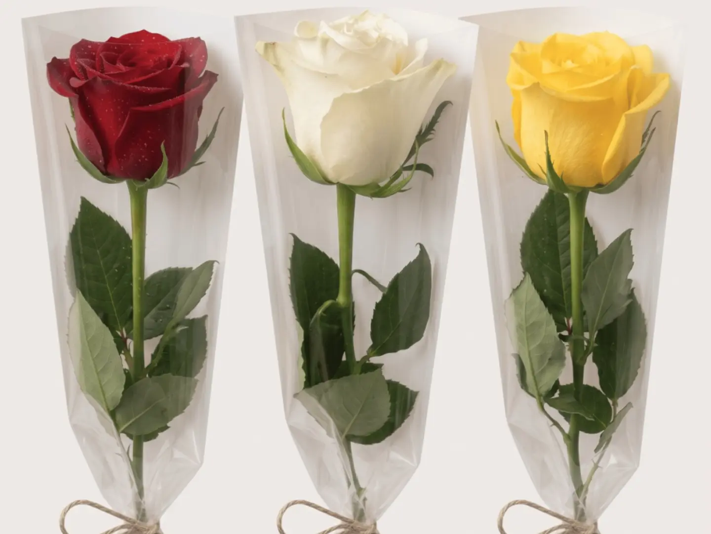20 Natural Rose Favors