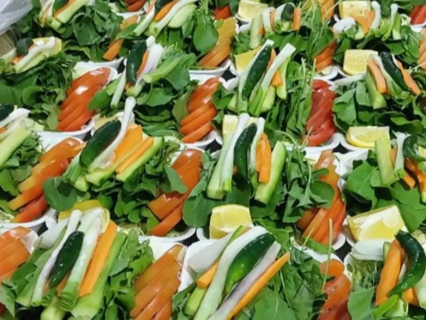 Fresh Salad
