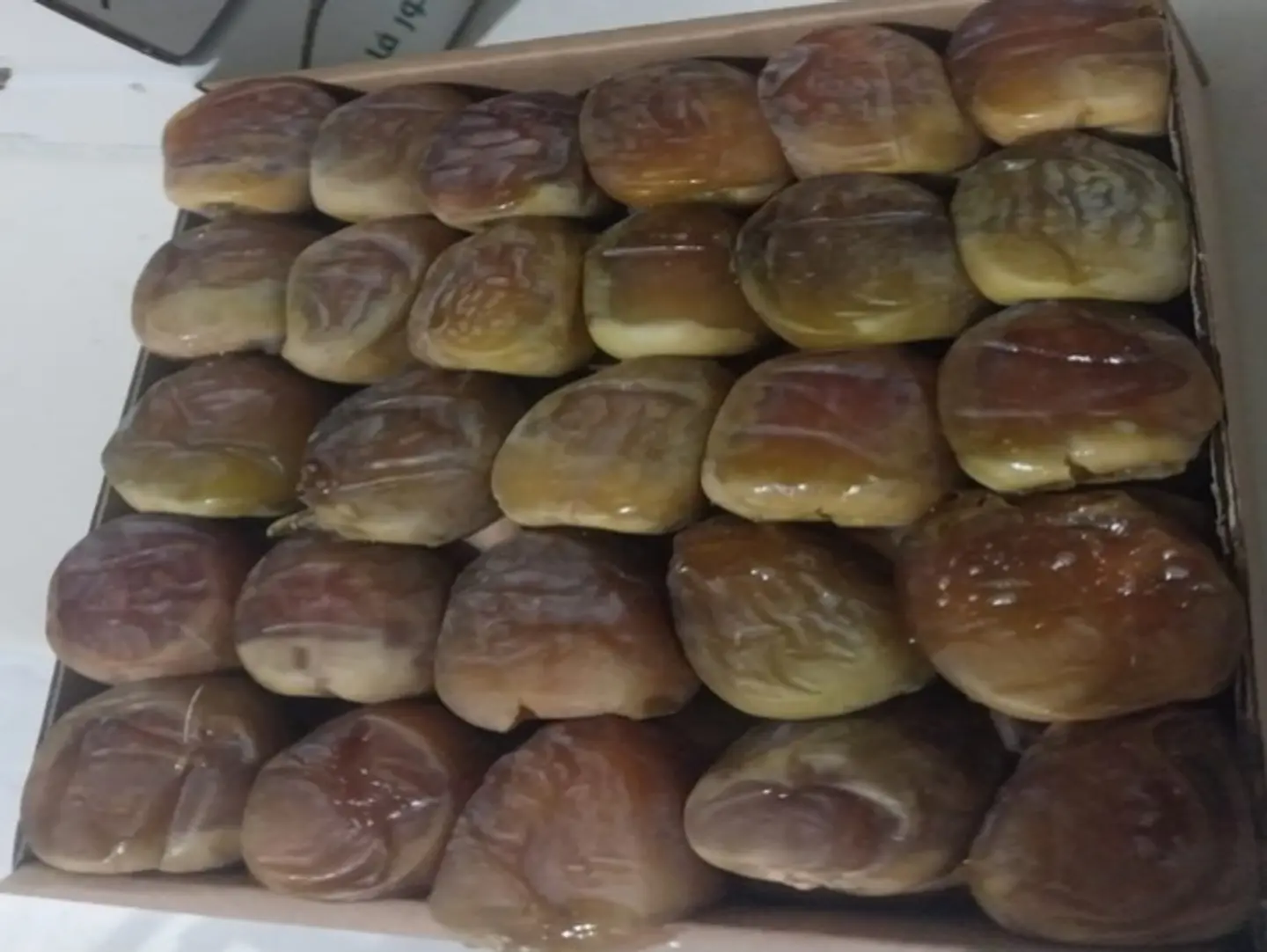 شيشي حق الحوطة رطب 1000جرام