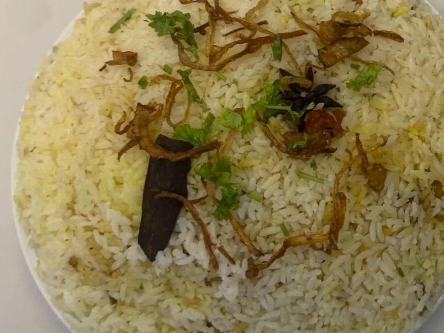 برياني دجاج دم