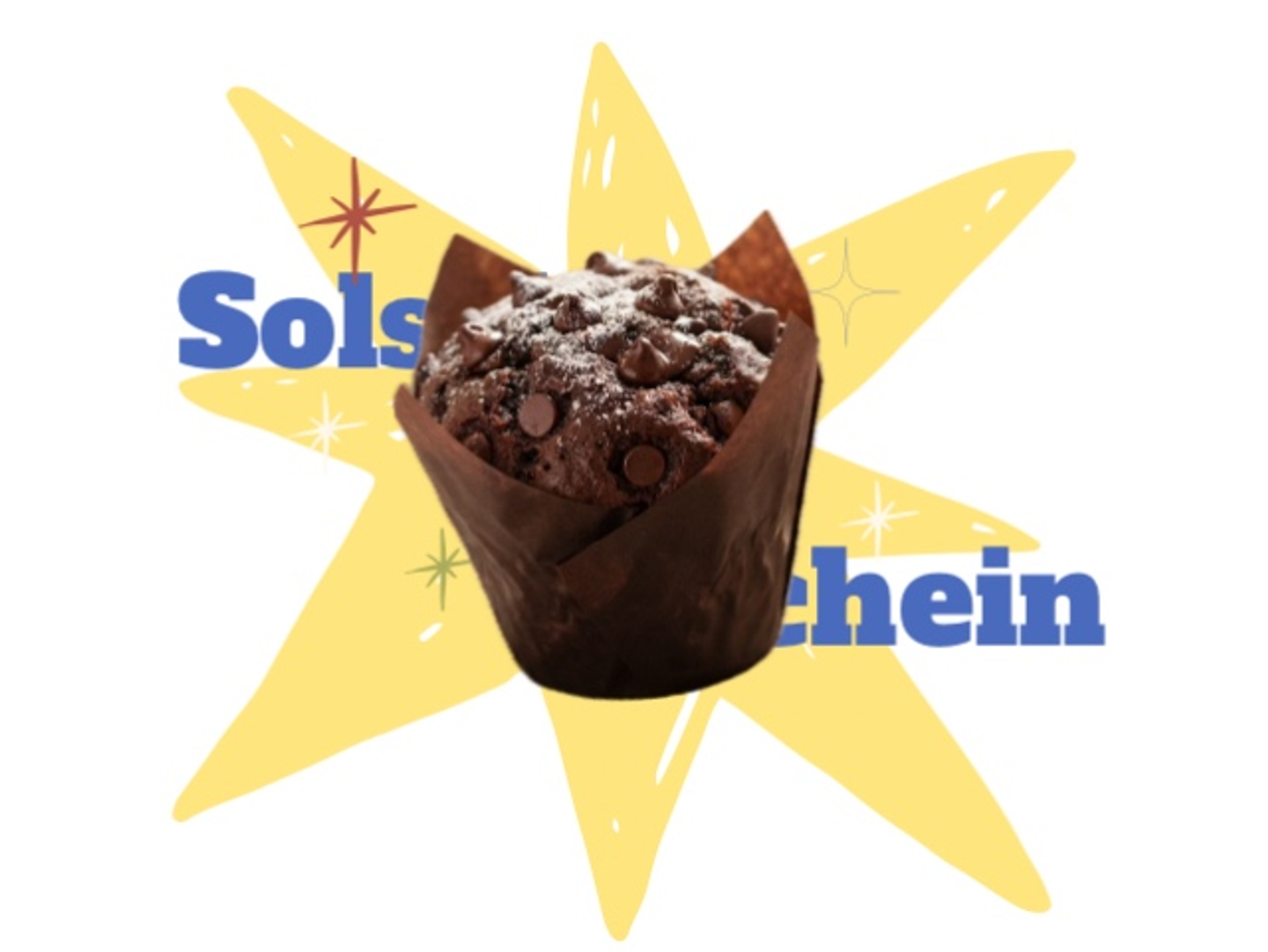 Chocolate Muffin