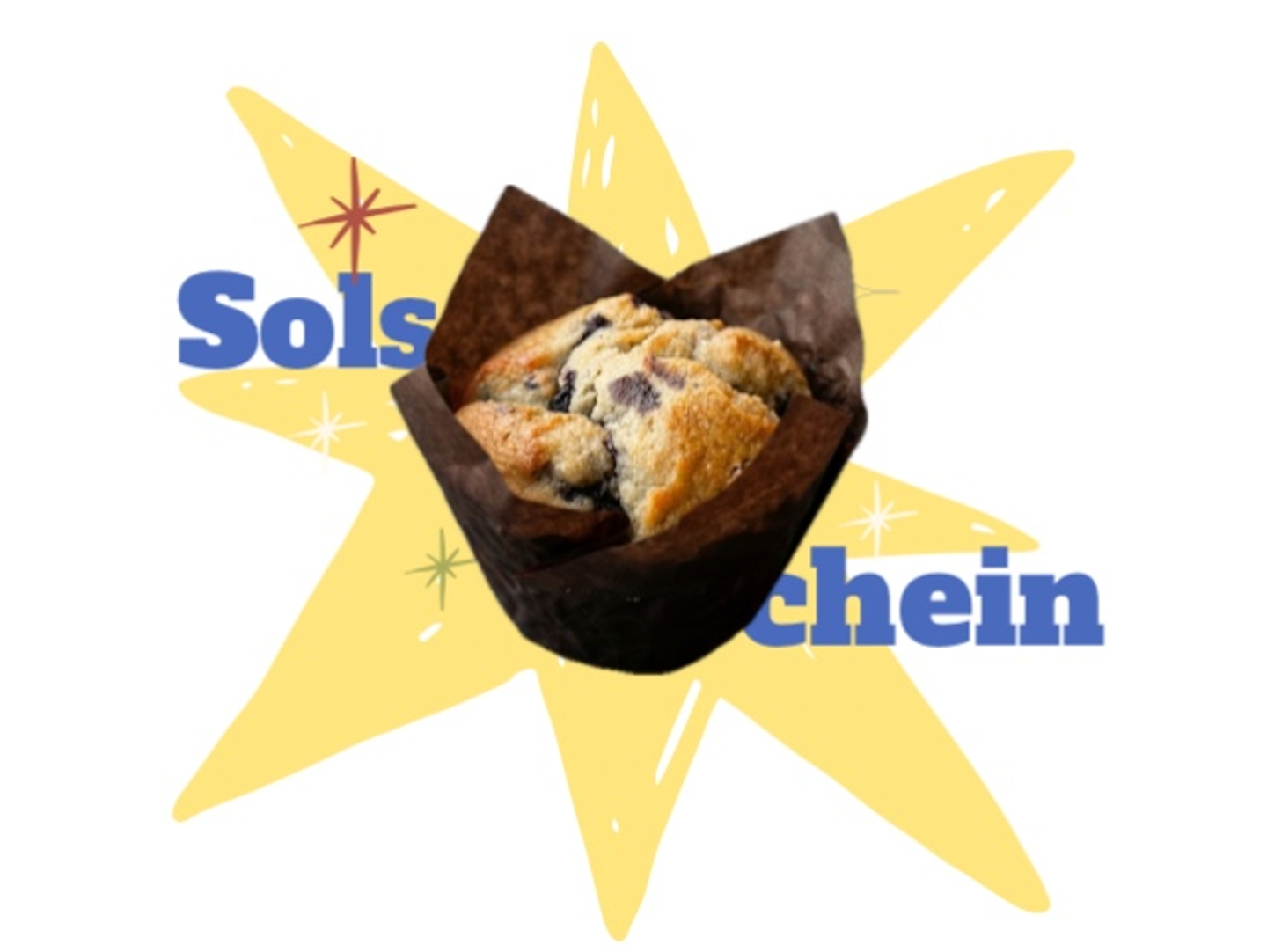Blueberry Muffin
