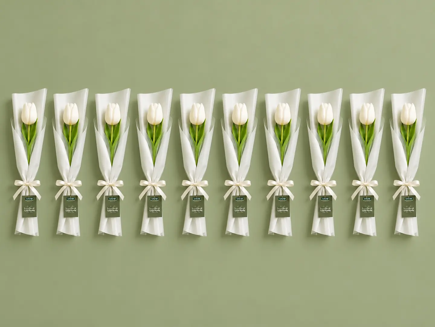 White Tulip Collection  National Day