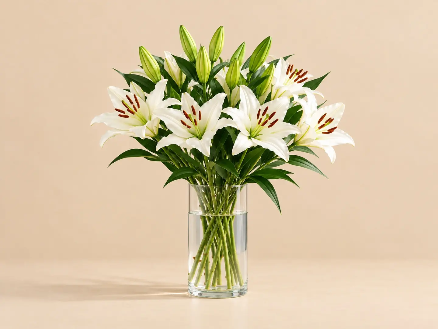 Lily Purity