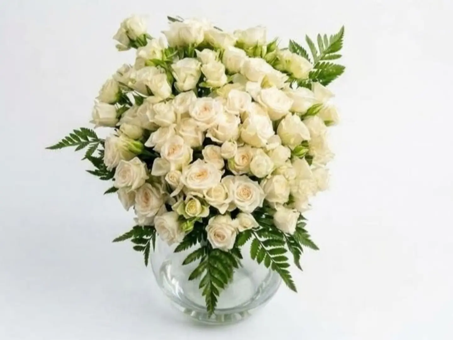 Vase 66