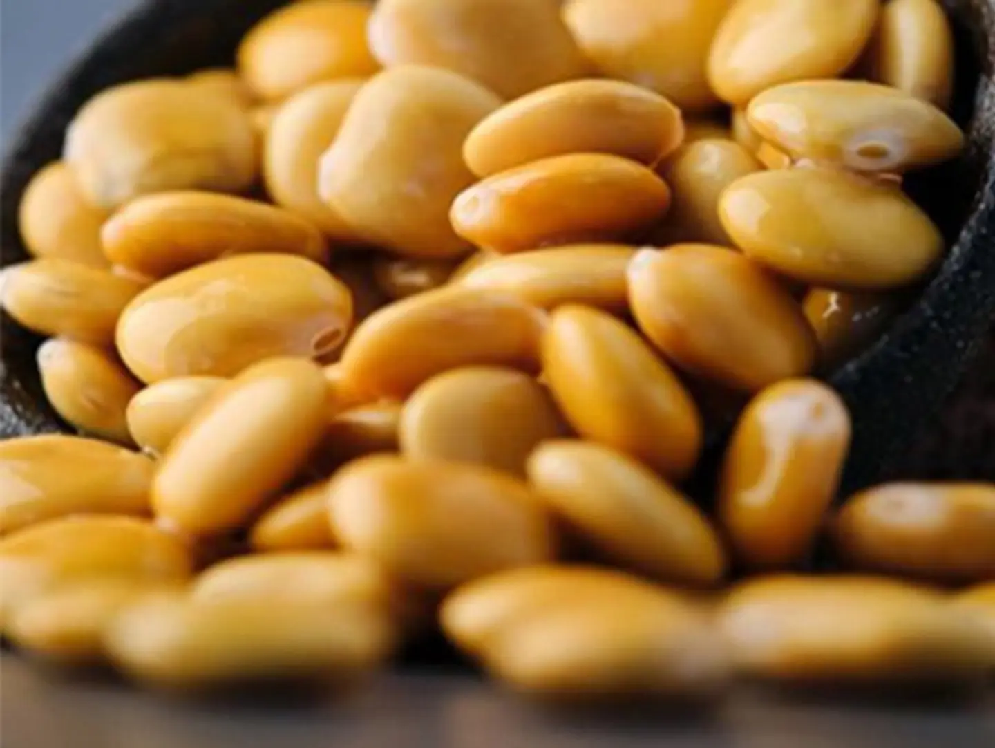 Termos (Lupini Beans)