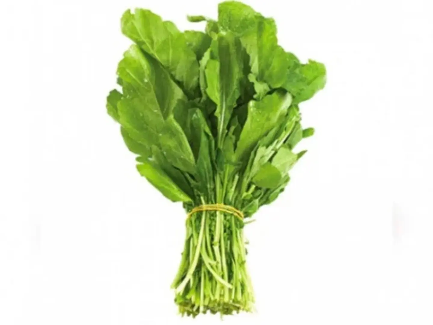 Rocket Salad