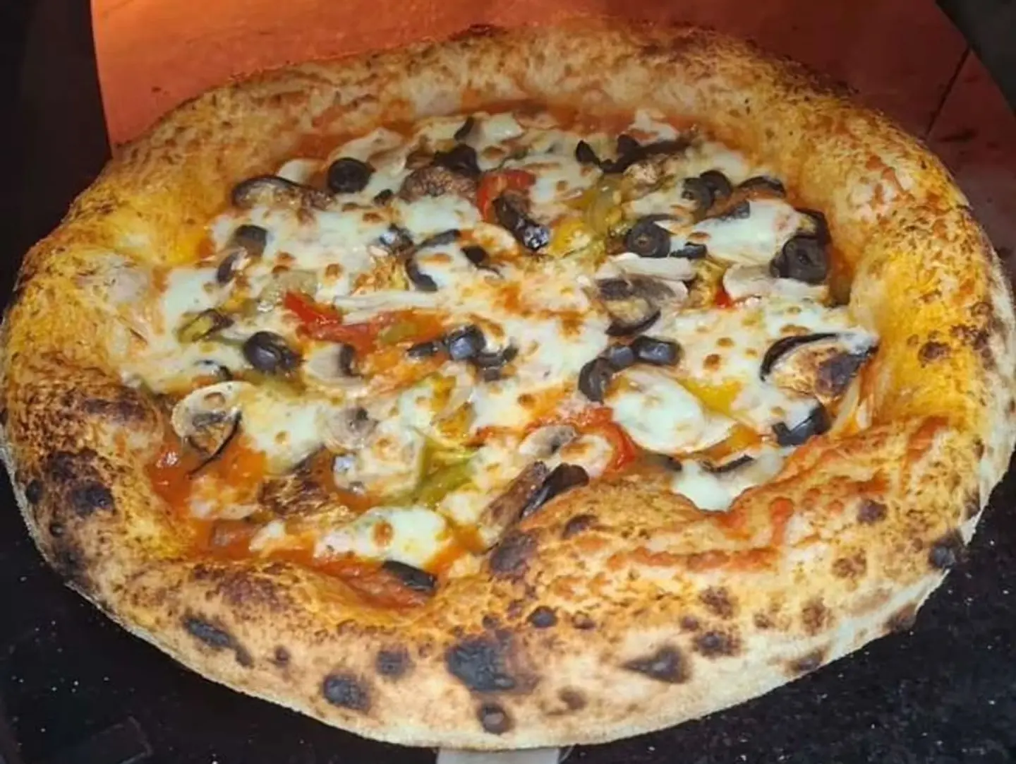 Vegetable Pizza