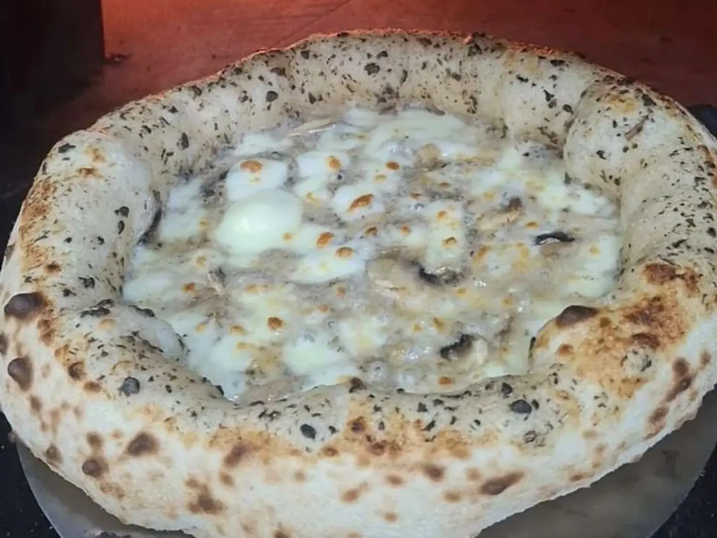 Truffle Pizza