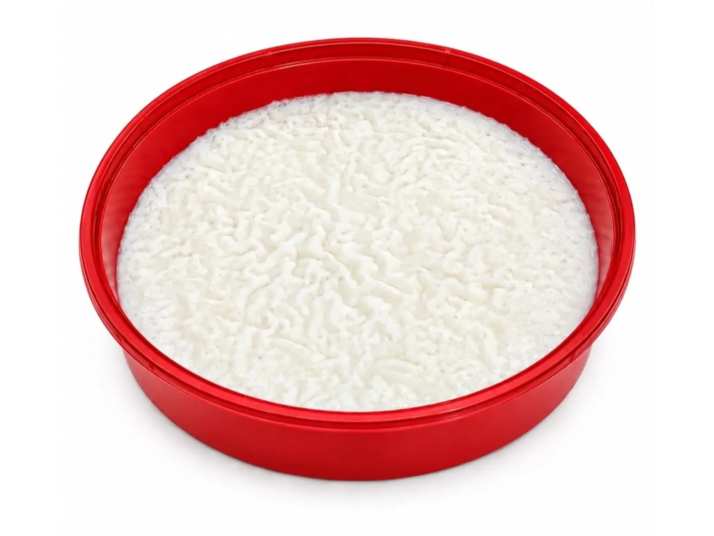 Rice Pudding