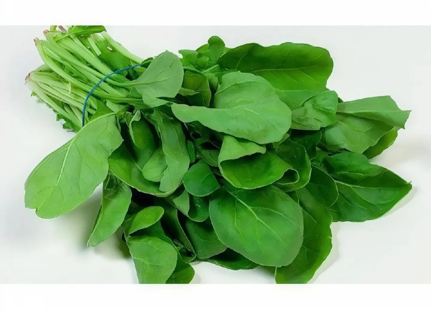 Arugula Salad