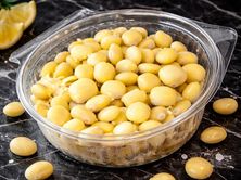 وعاء الترمس