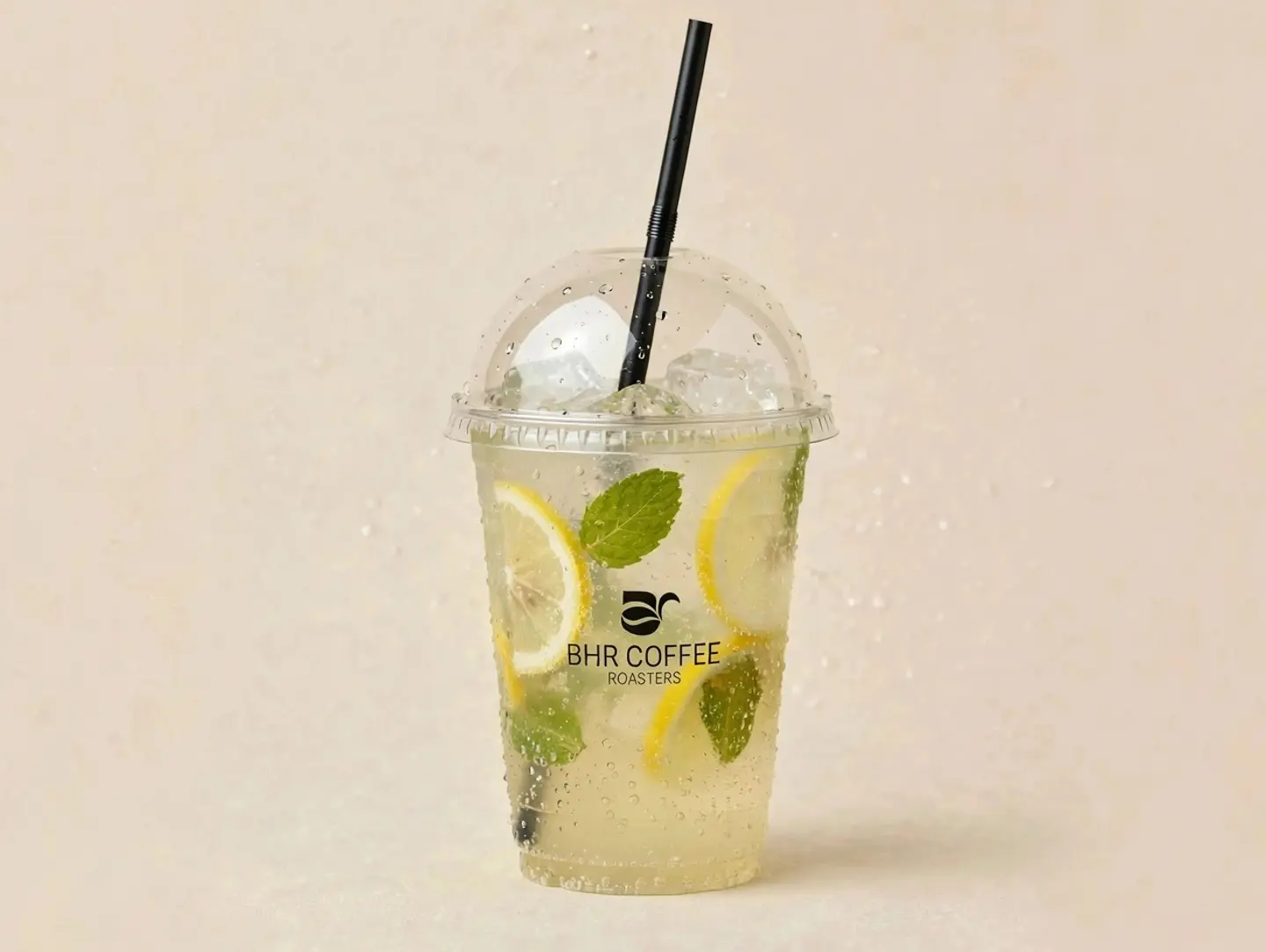 Lemon Mint Mojito