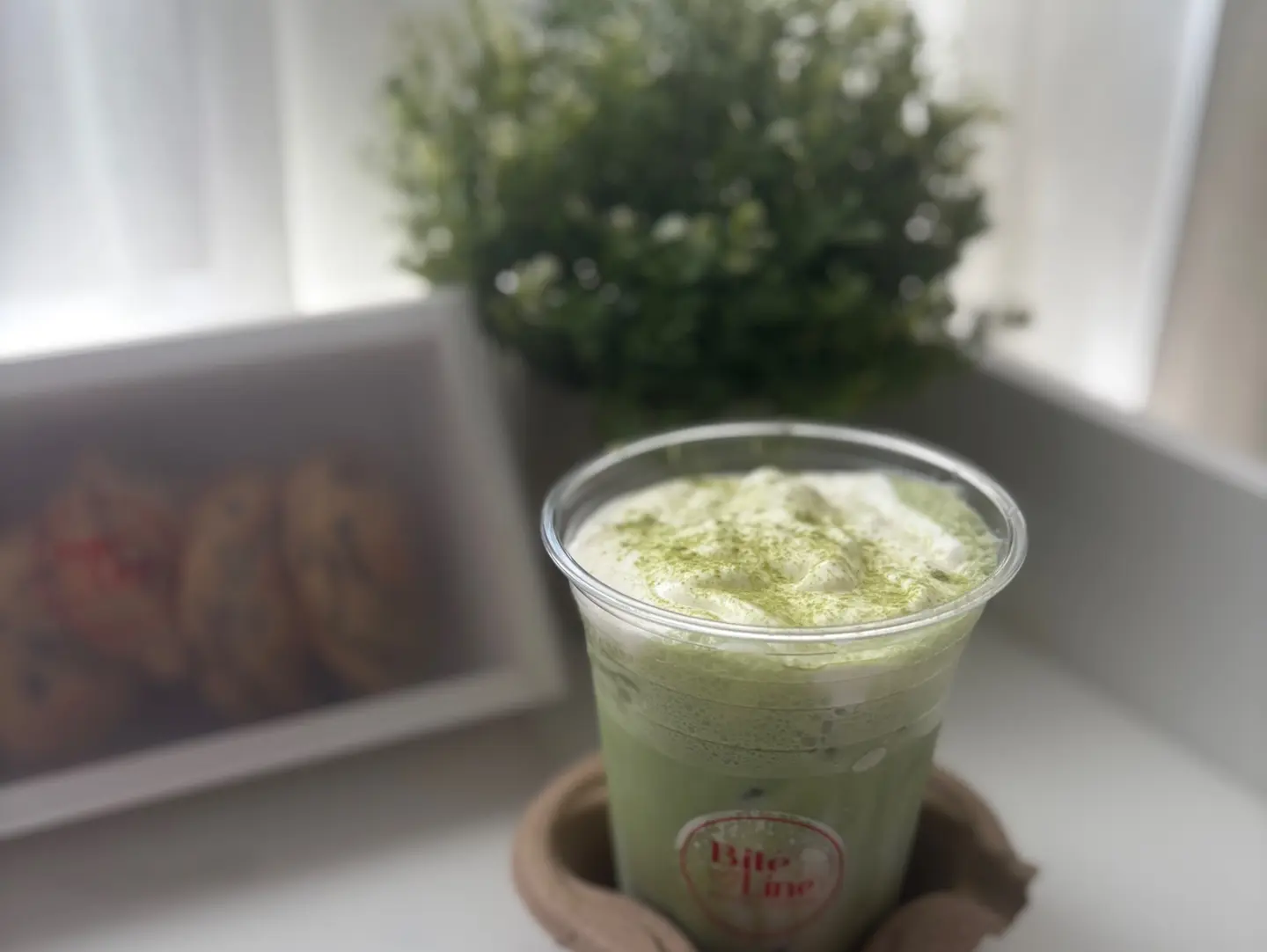 Matcha - Matcha With 6 Mini Classic Cookies