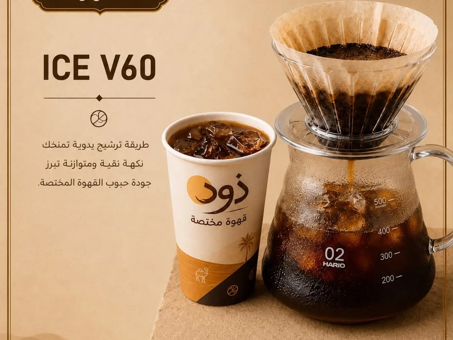 Ice V60