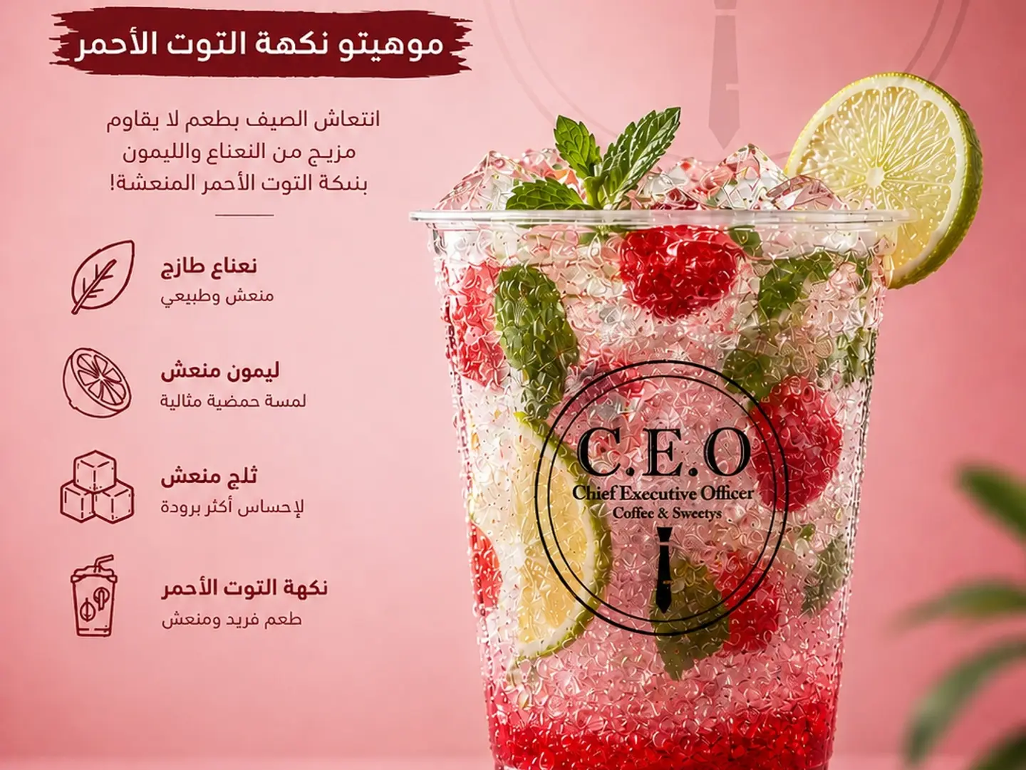 Red Berry Mojito