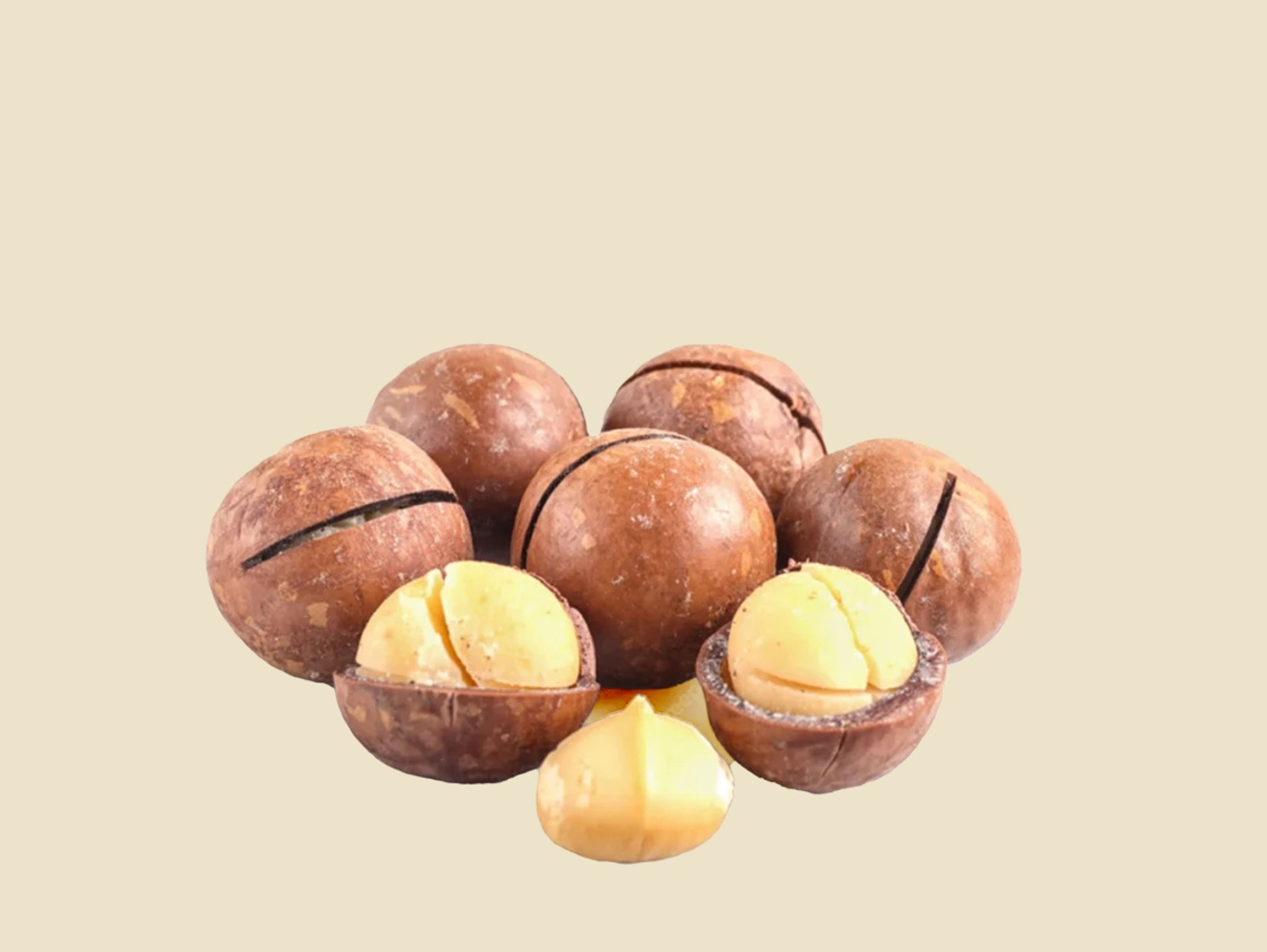 Grilled Vanilla Macadamia Nuts In Shell - 500 Grams