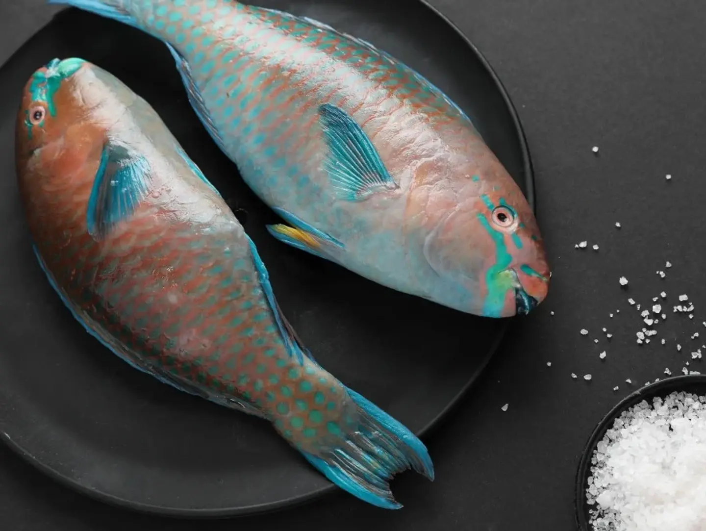 Samak Harid - Half A Kilo