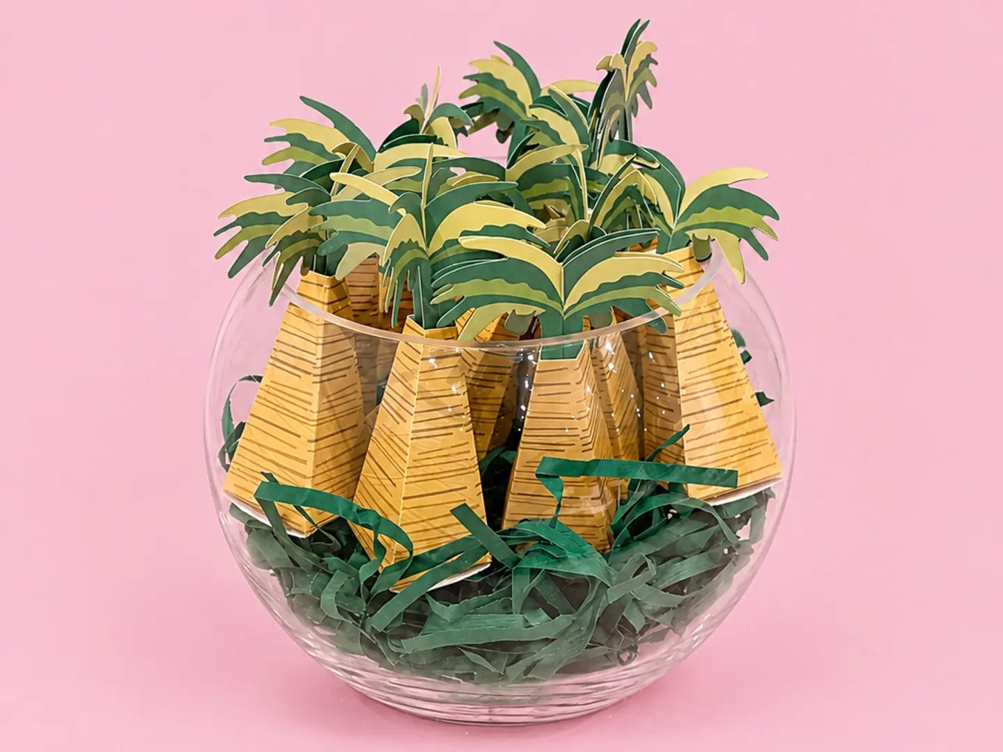 National Day Palm