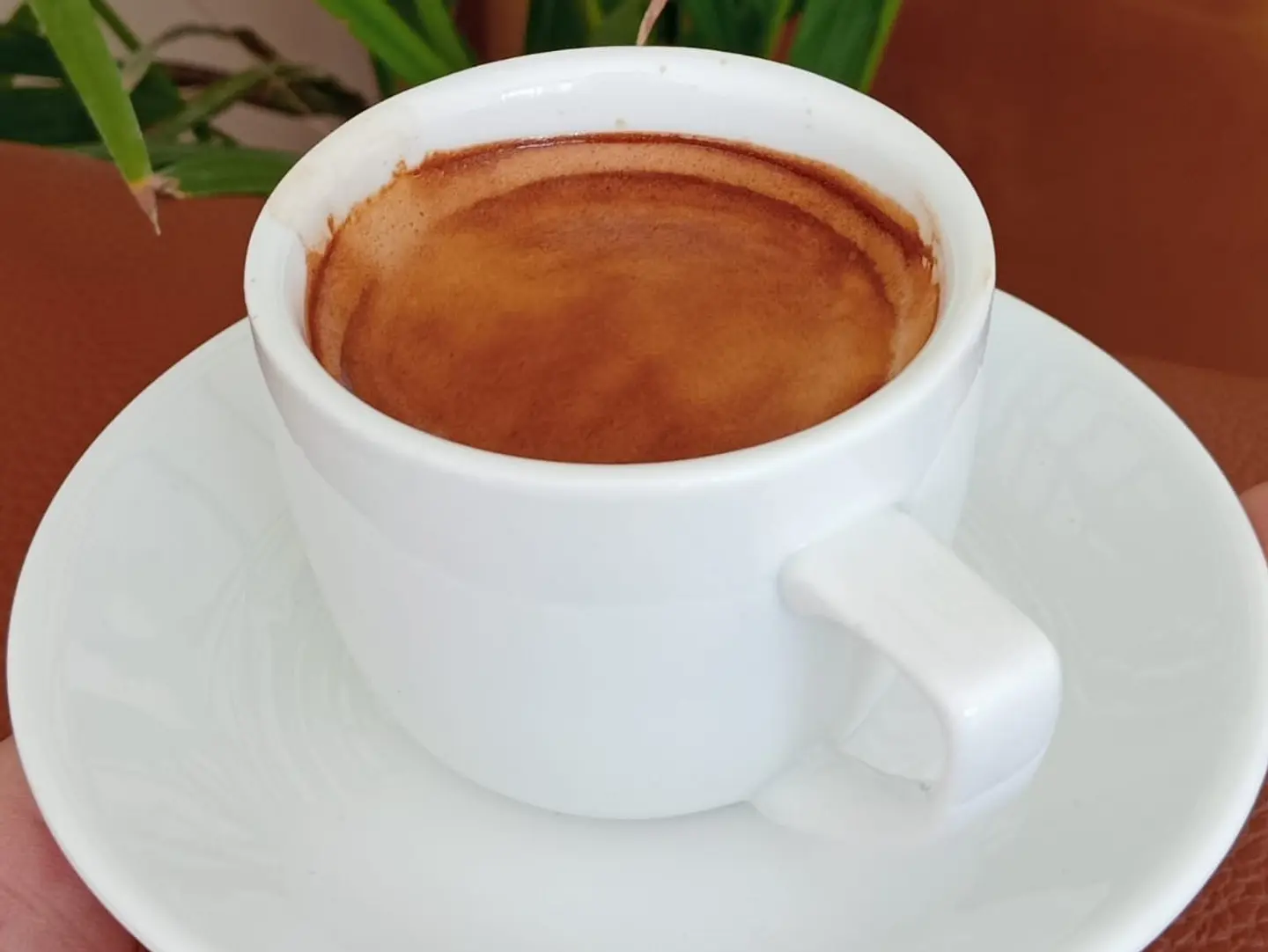 Espresso