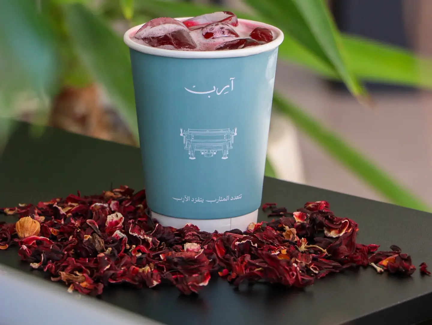 Hibiscus Grape
