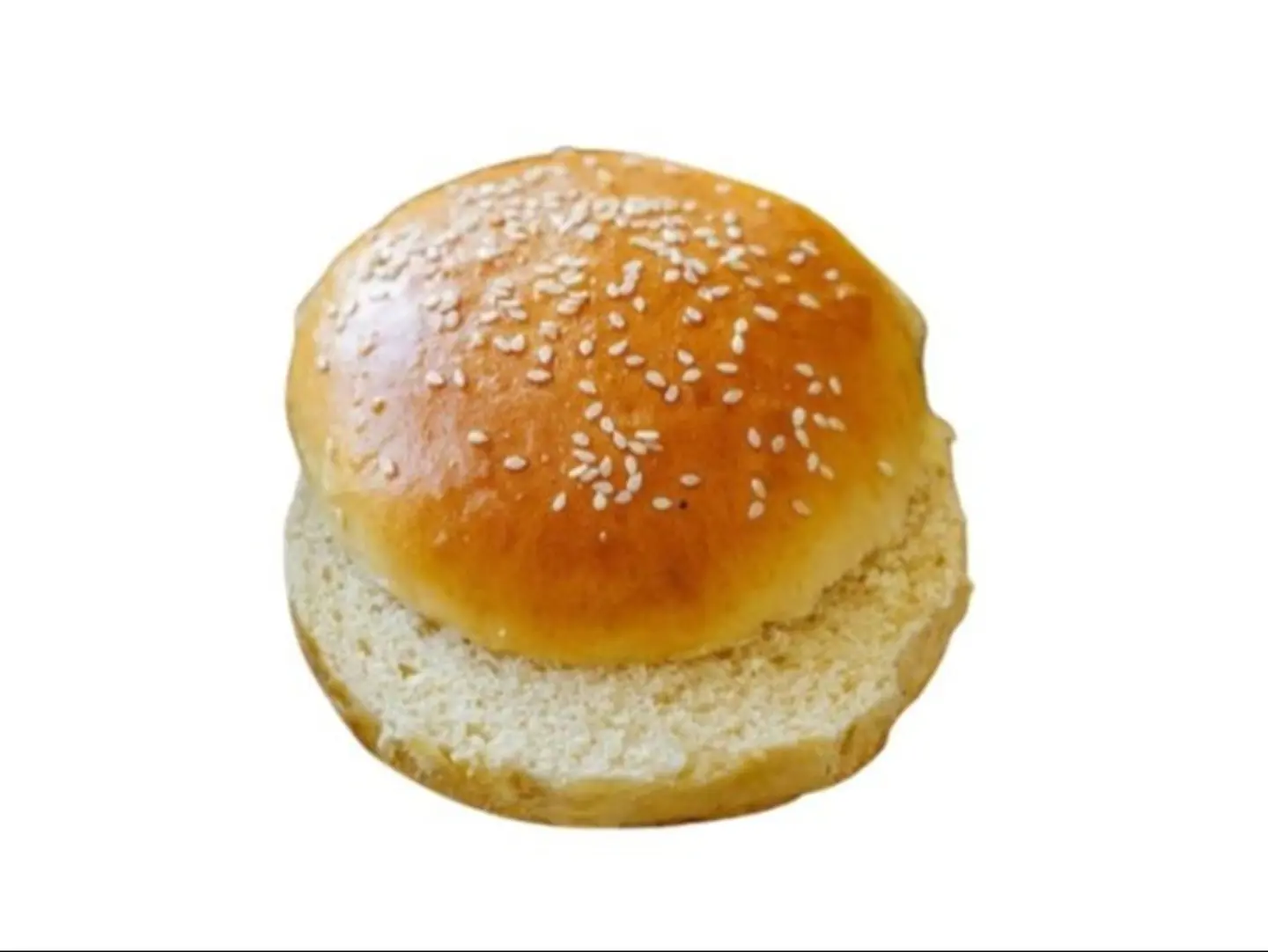 خبر برجر سادة