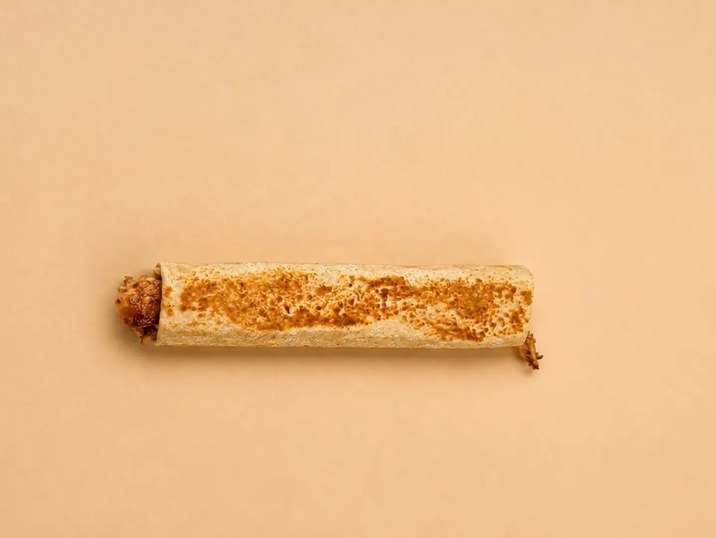 صغير دجاج