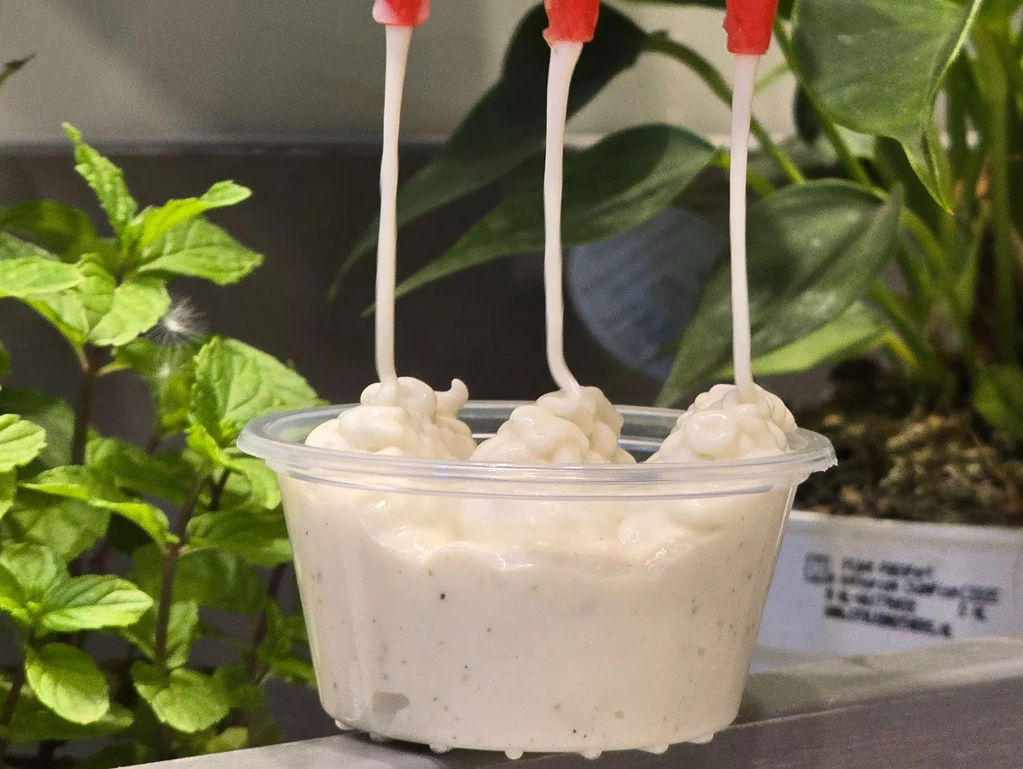 Ranch