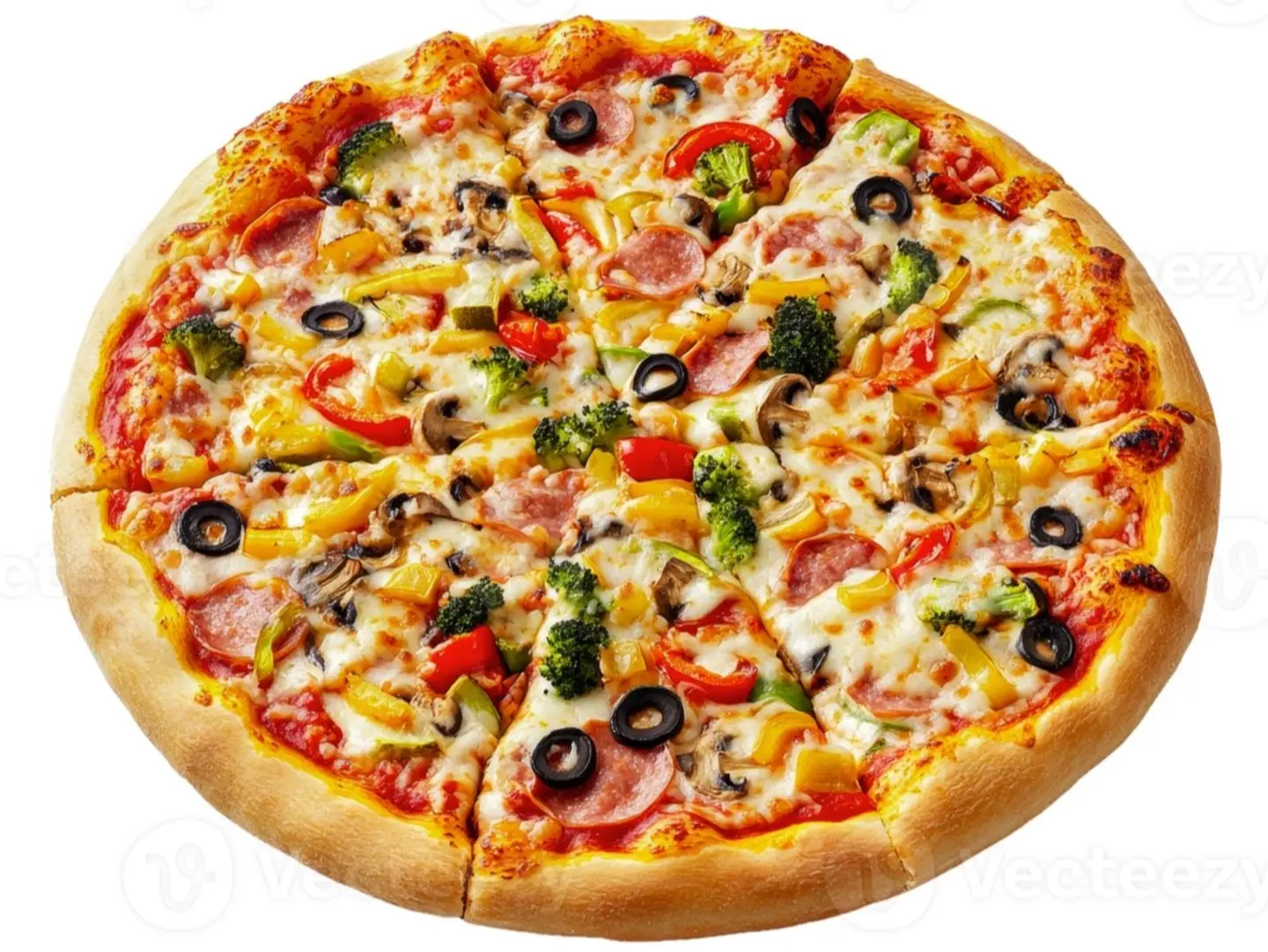Vegetable Pizza - Large