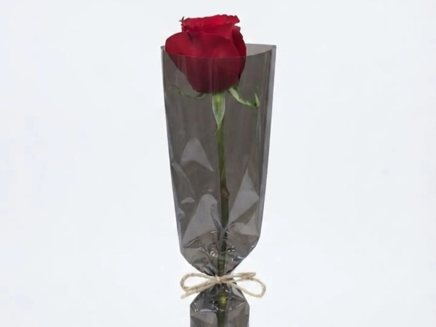 Single Rose