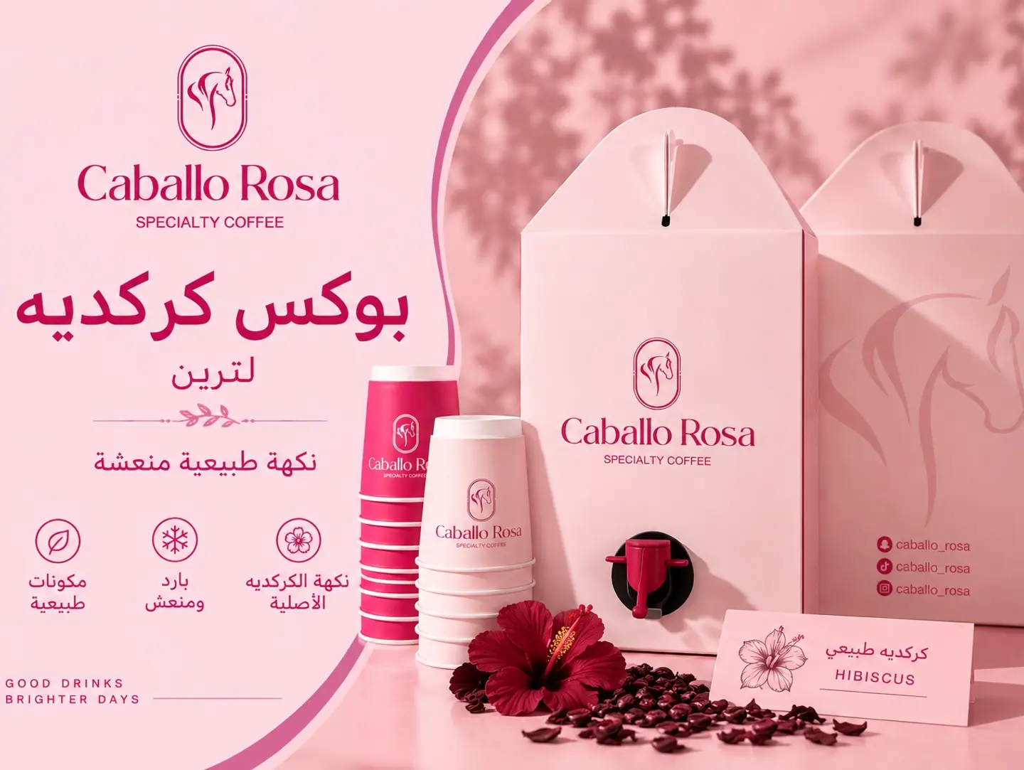 Hibiscus 2 L Box