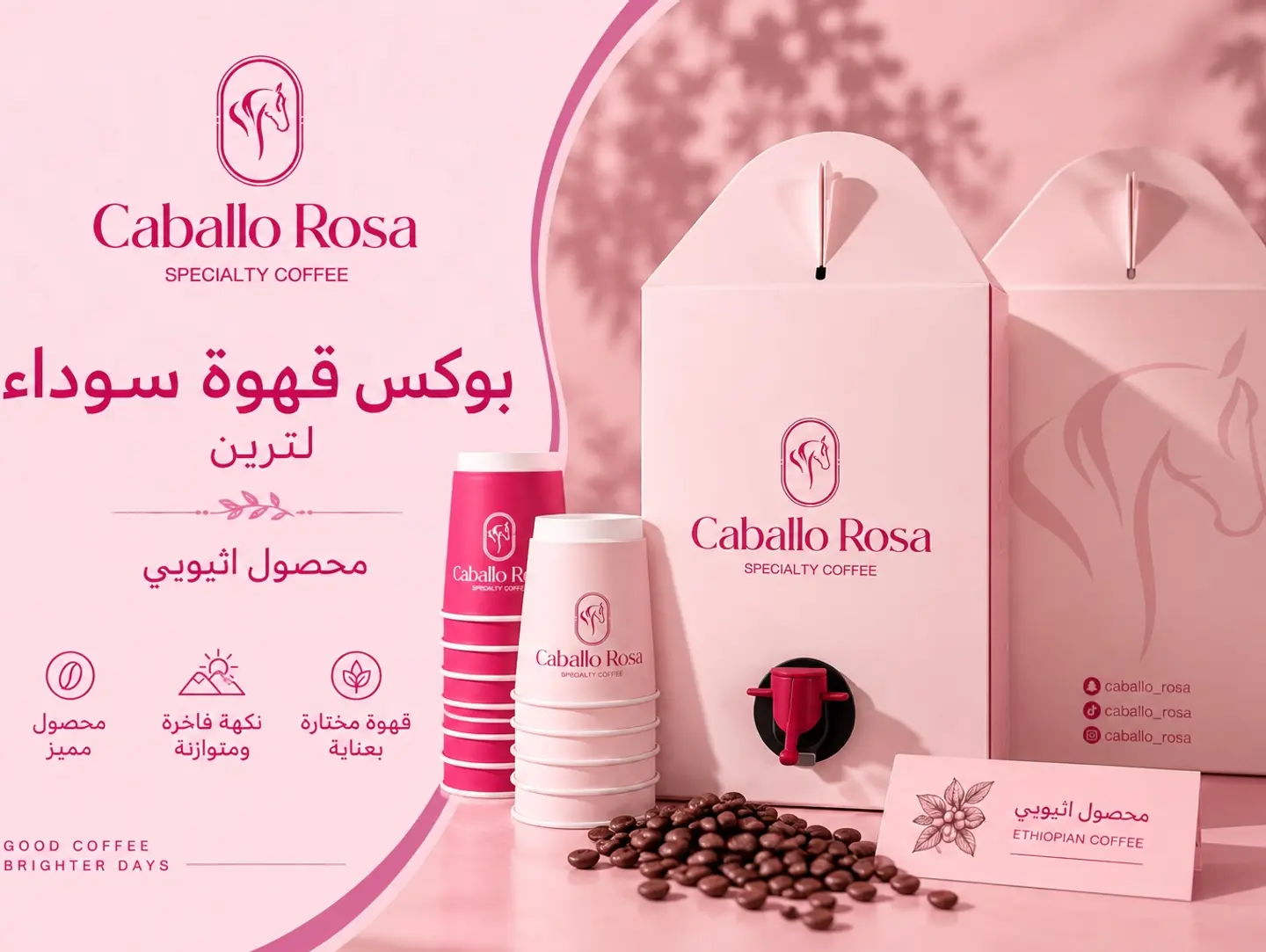 Black Coffee Box Cold
