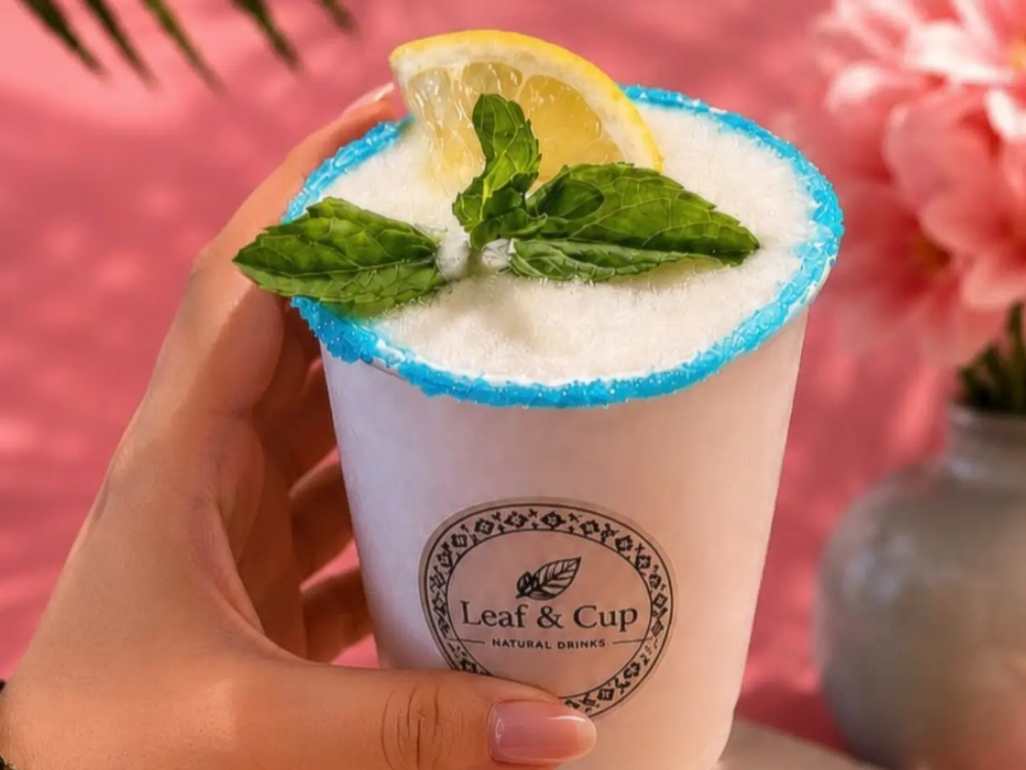 Prime Cup