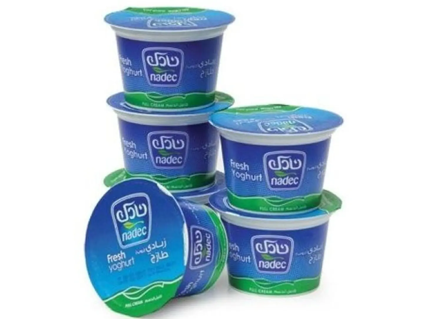 Yogurt