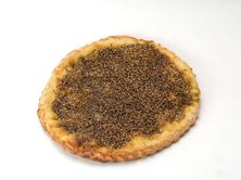 زعتر