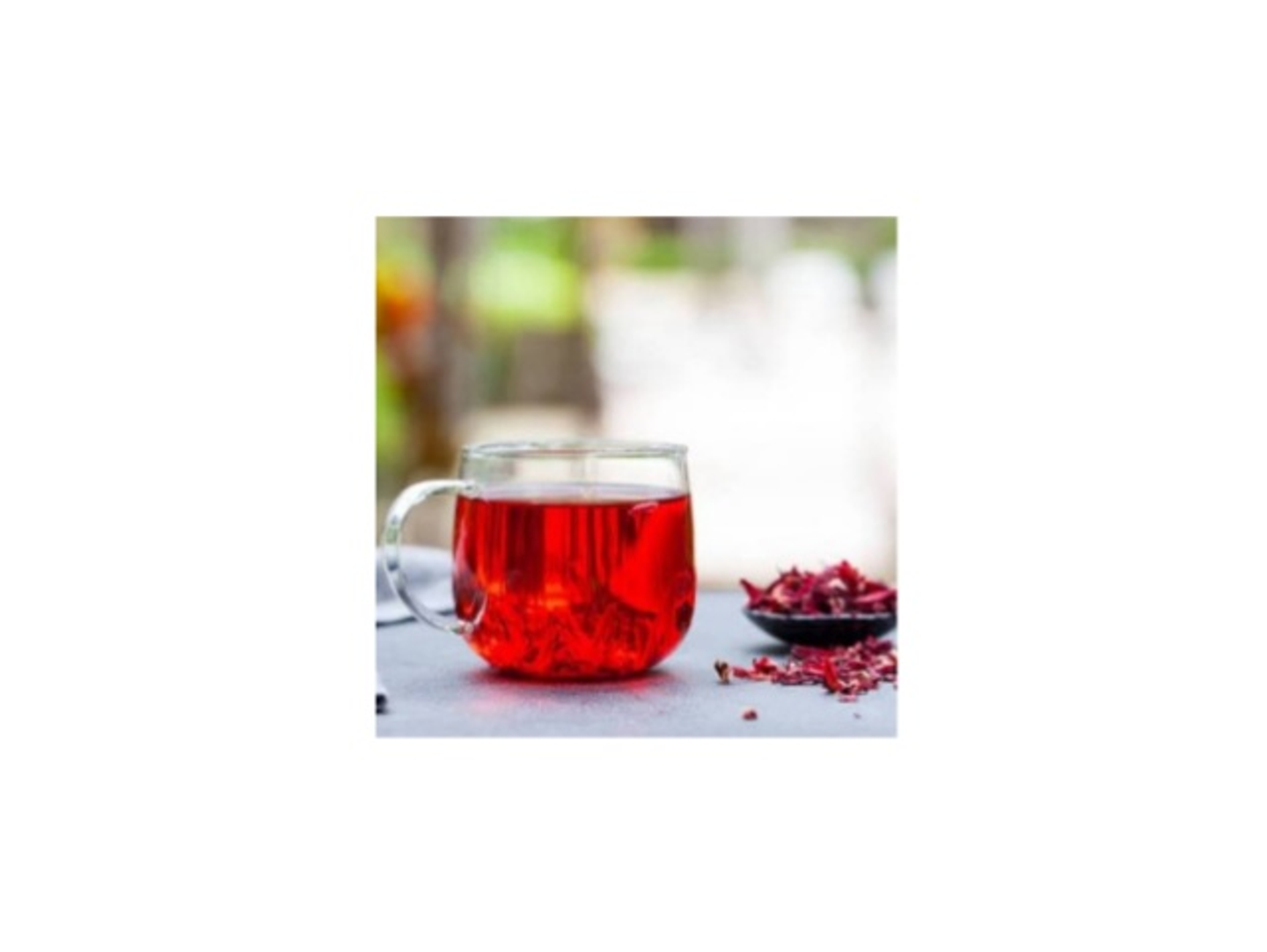 Hibiscus
