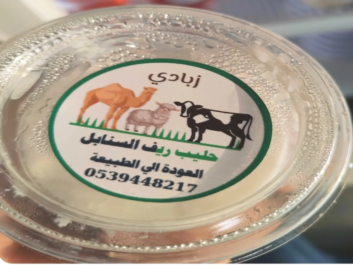 Fresh Sheep Yogurt