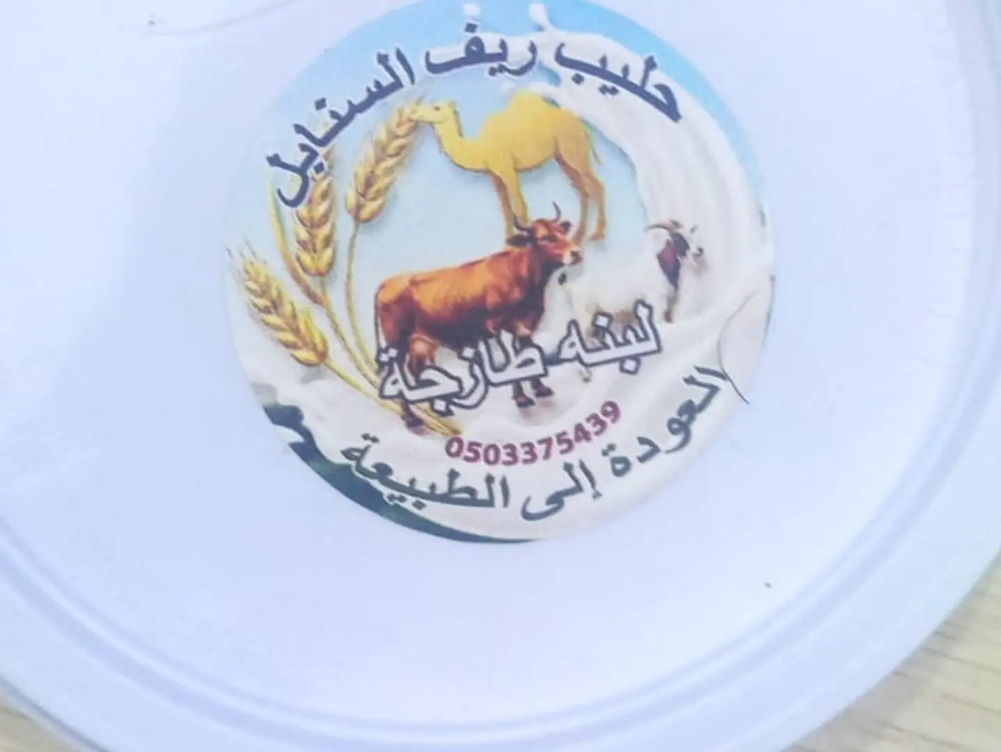 Fresh Yogurt