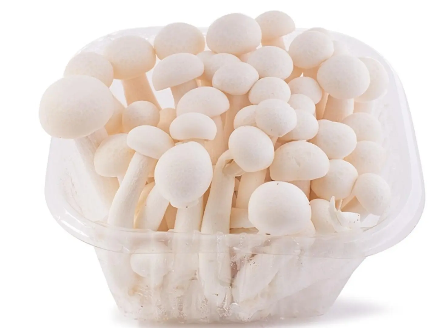 White Mushroom