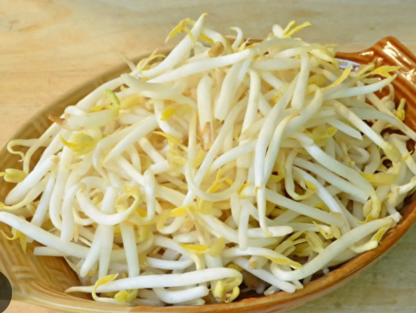 Bean Sprouts
