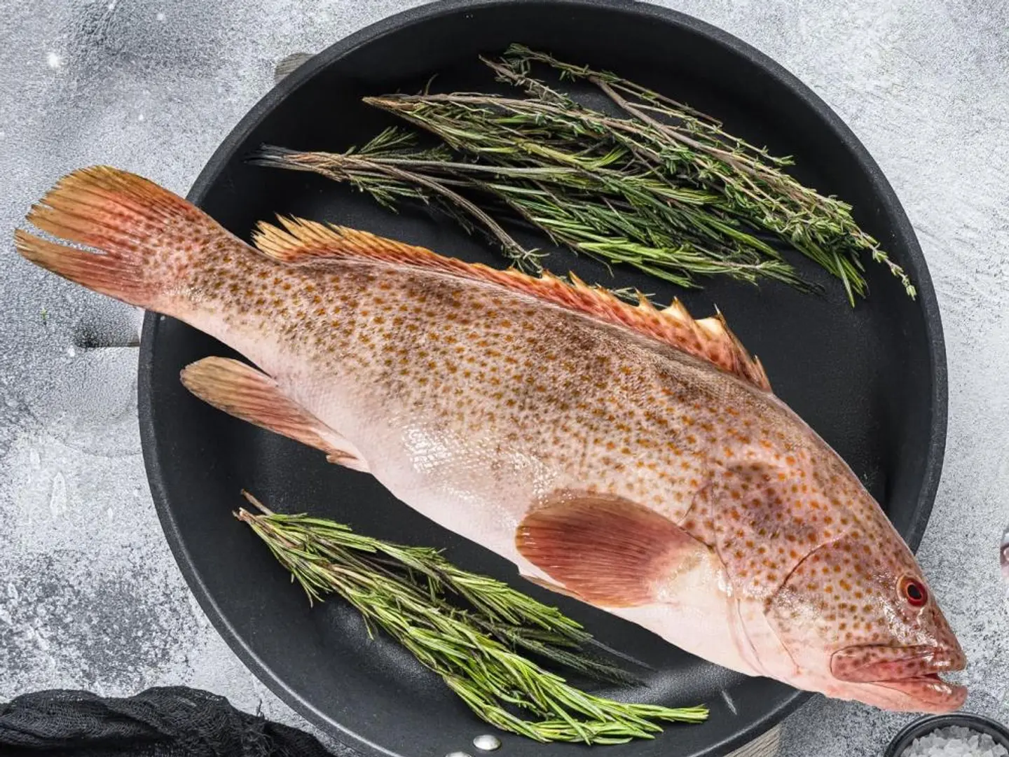 Grouper (Hamour)