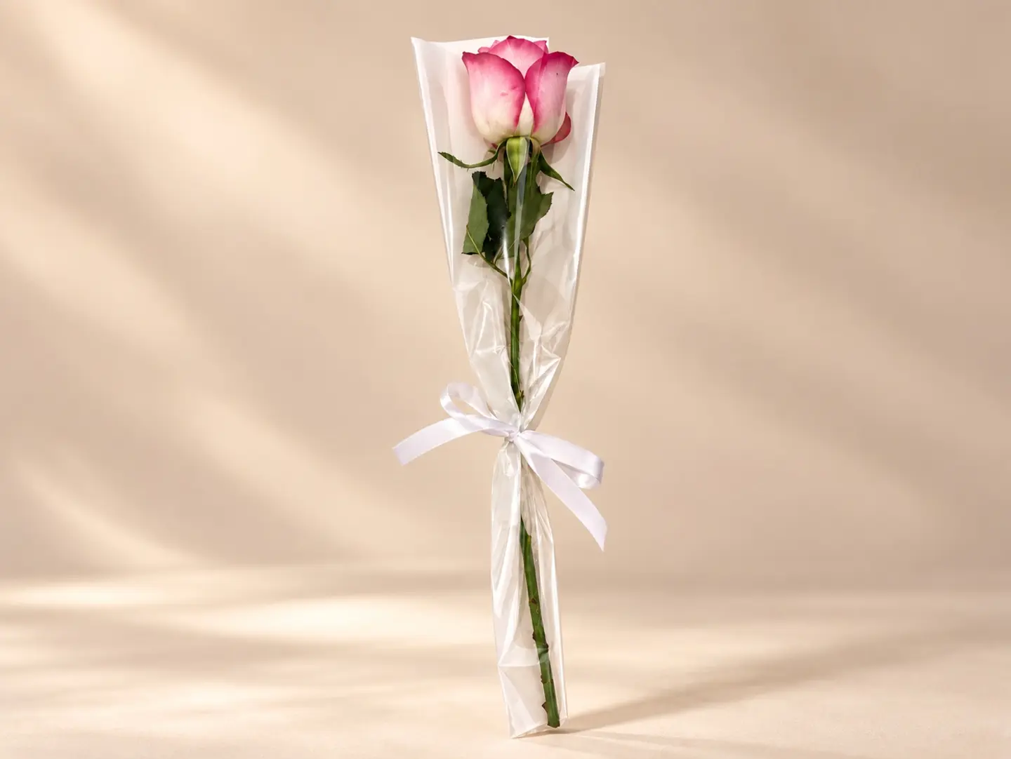 Single Pink Rose