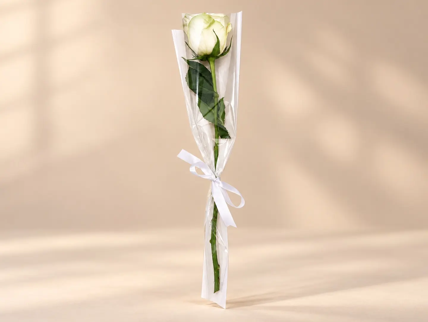 Single White Rose